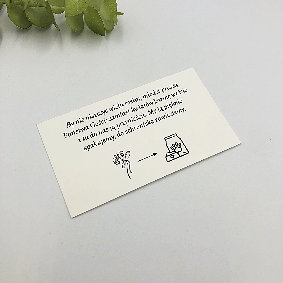 rebusy-slubne-karma-zamiast-wiatow (3) karma dla zwierząt zamiast kwiatów